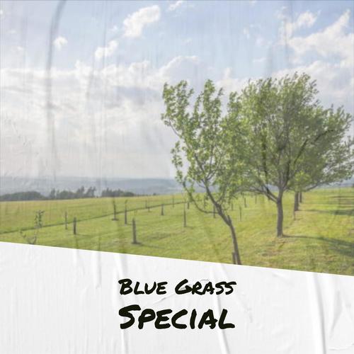 Blue Grass Special