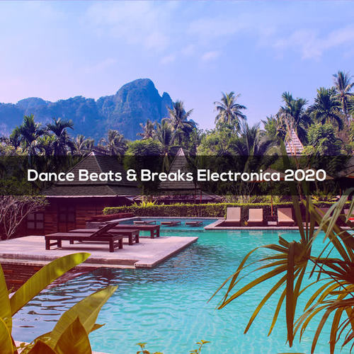 Dance Beats & Breaks Electronica 2020