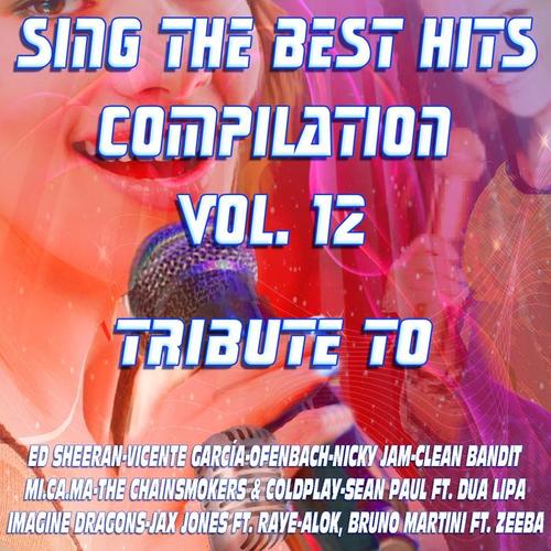 Sing the Best Hits Vol. 12 (Special Instrumental Versions)