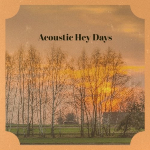 Acoustic Hey Days