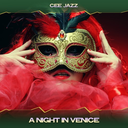 A Night in Venice