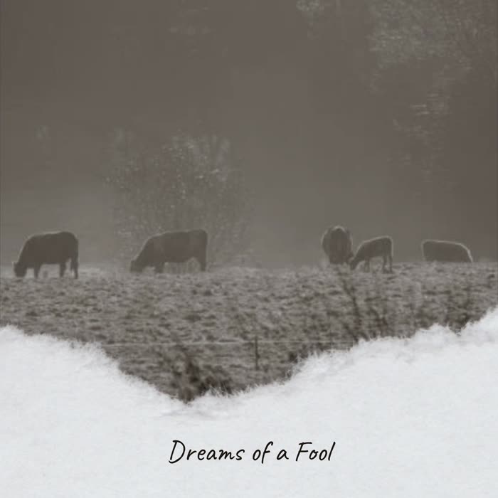 Dreams of a Fool