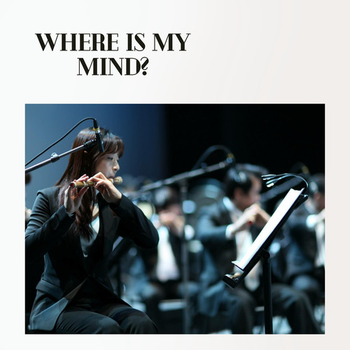 Where Is My Mind?