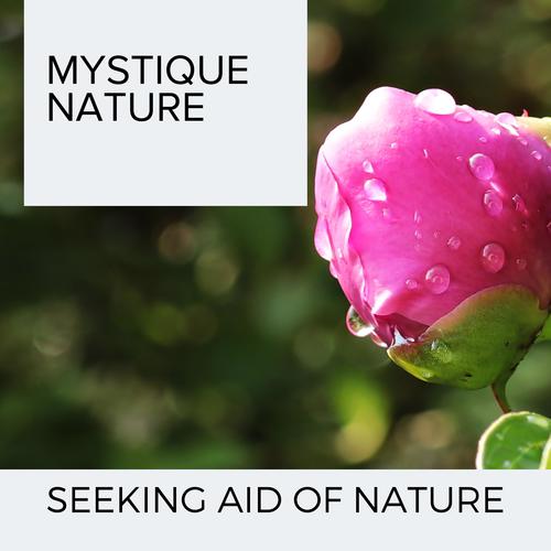 Mystique Nature - Seeking Aid of Nature