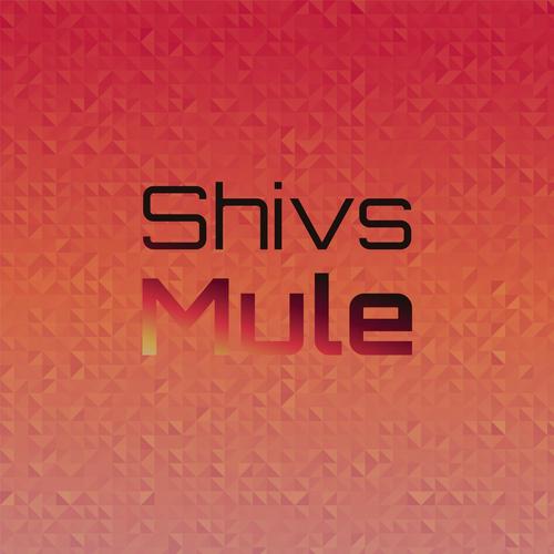 Shivs Mule