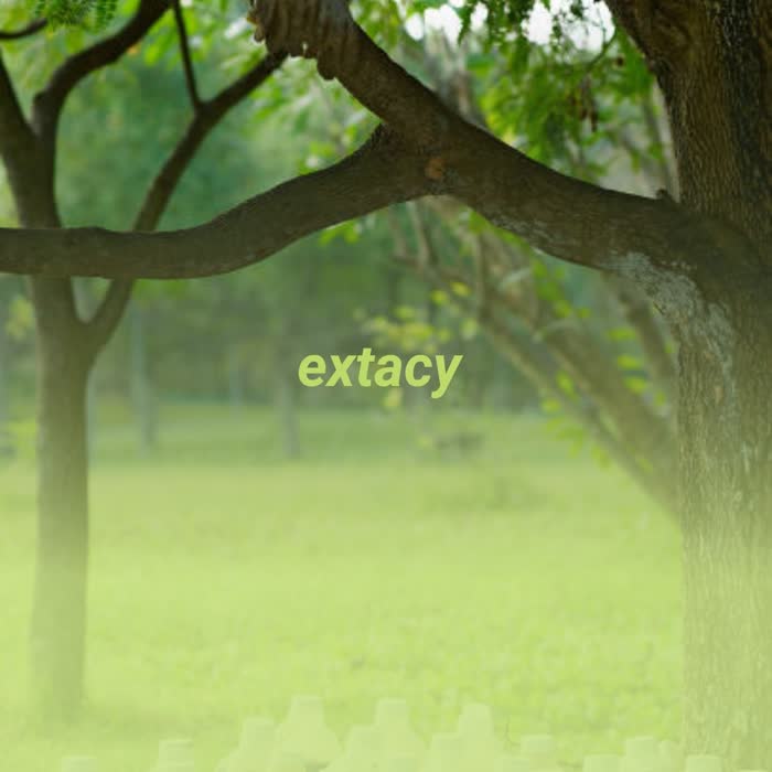 Extacy