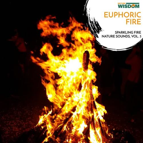 Euphoric Fire - Sparkling Fire Nature Sounds, Vol. 3