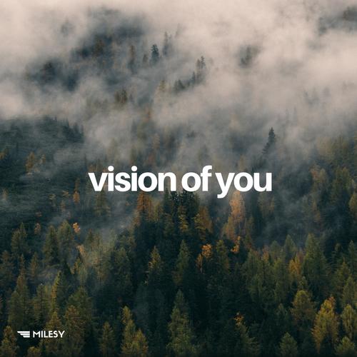 Milesy Vision Of You Rework (Radio Edit)