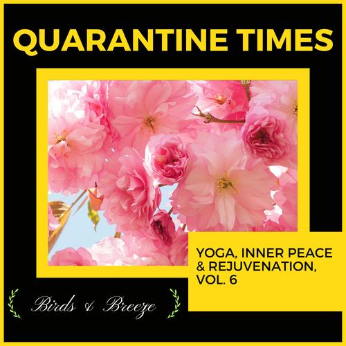 Quarantine Times - Yoga, Inner Peace & Rejuvenation, Vol. 6