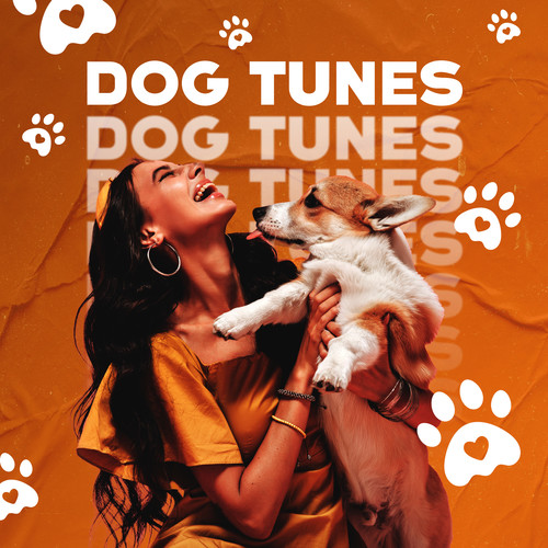 Dog Tunes: Calming Music For Dog And Puppy