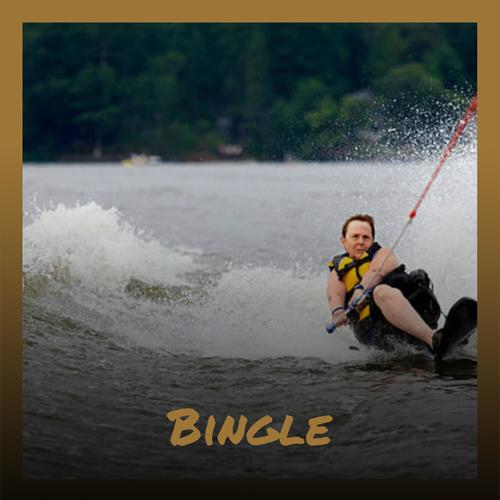 Bingle