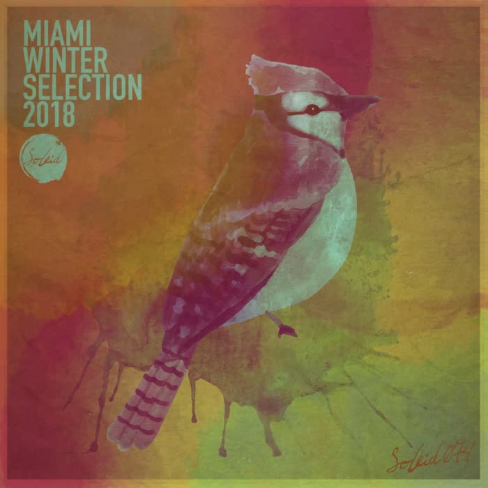 Miami Winter Soleid Selection 2018