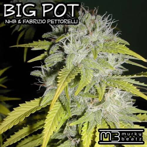 Big Pot