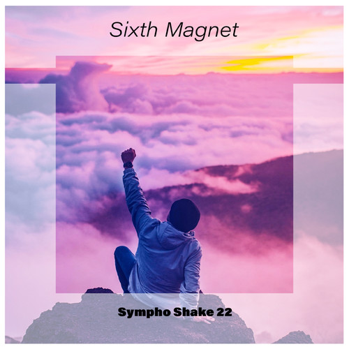 Sixth Magnet Sympho Shake 22