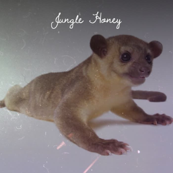 Jungle Honey