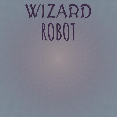 Wizard Robot