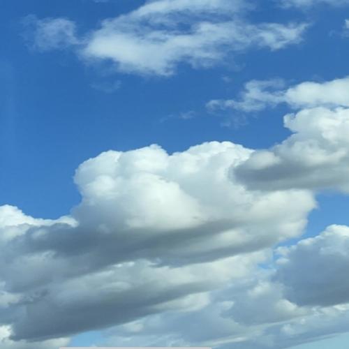 Climates (feat. trashi) [Explicit]