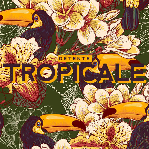 Détente tropicale - Musique chillout, Vacances, Repos profond, Vibrations chillout lentes, Relaxation estivale