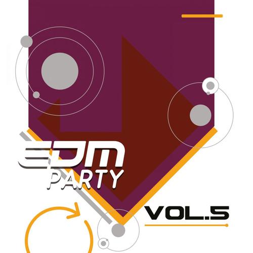 EDM Party: Vol.5