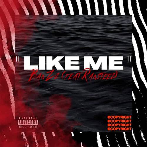 Like Me (feat. Ransteez) [Explicit]
