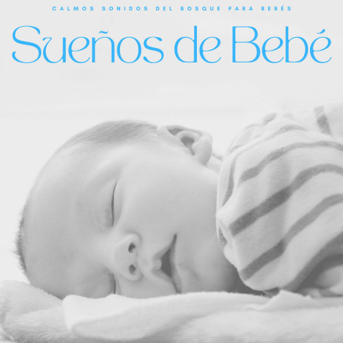 Sueños De Bebé: Calmos Sonidos Del Bosque Para Bebés