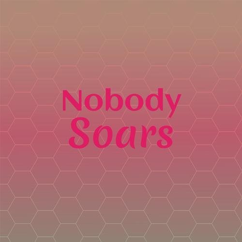 Nobody Soars