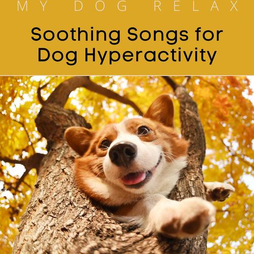 Soothing Songs for Dog Hyperactivity