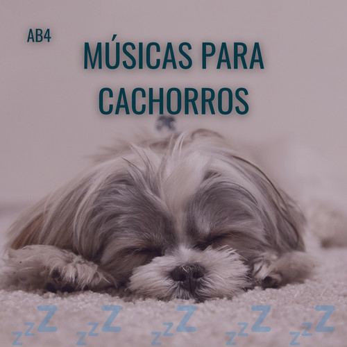 Música para Cães