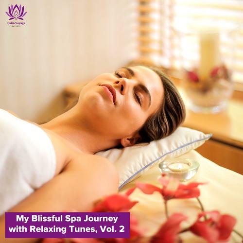 My Blissful Spa Journey with Relaxing Tunes, Vol. 2