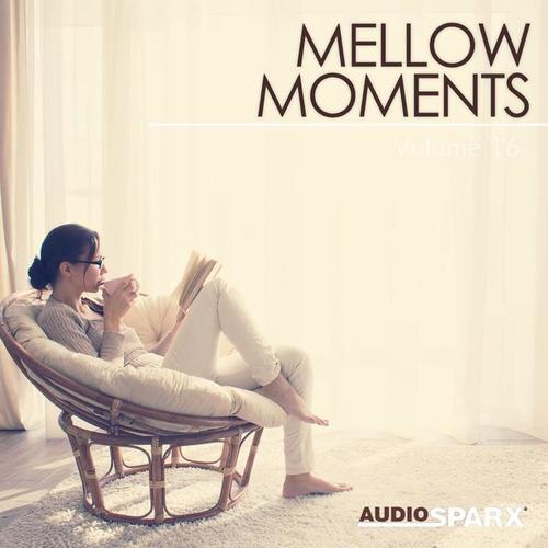 Mellow Moments Volume 16