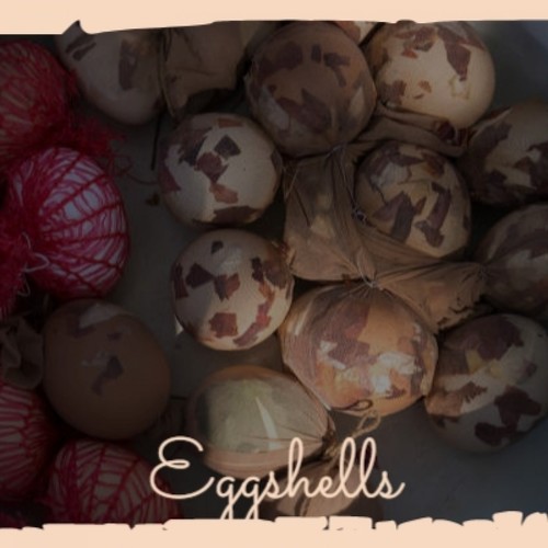 Eggshells