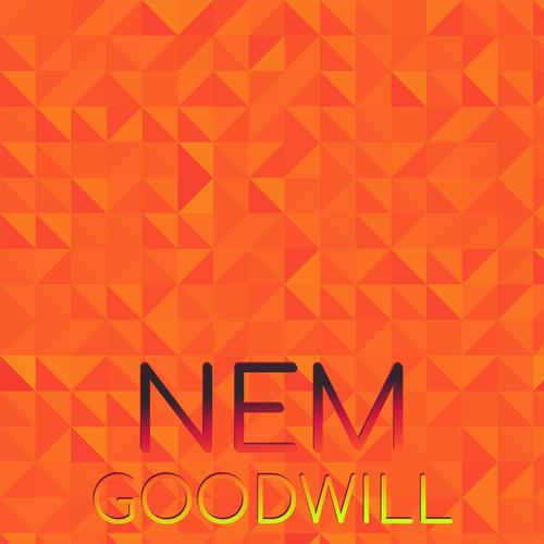 Nem Goodwill