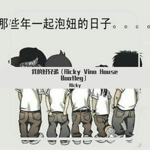 我的好兄弟（Ricky Vina House Bootleg）