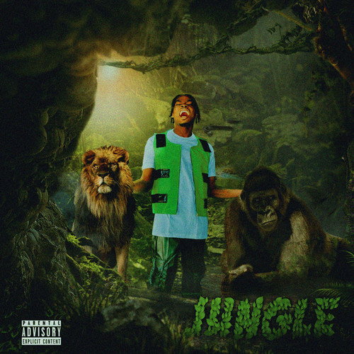 Jungle (Explicit)