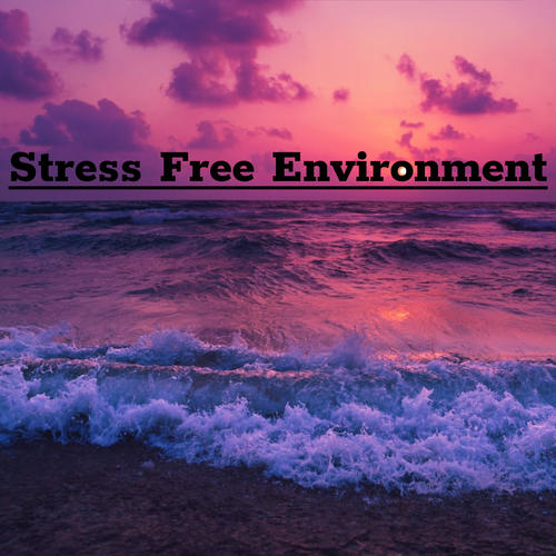 Stress Free Environment