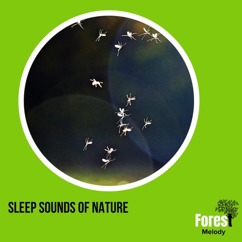 Sleep Sounds of Nature