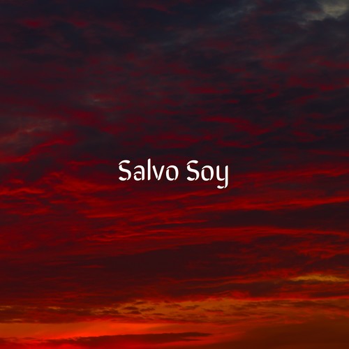 Salvo Soy