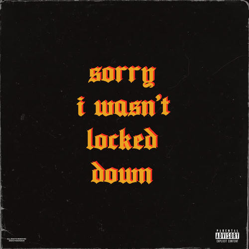 Sorry I Wasn't Locked Down (Explicit)