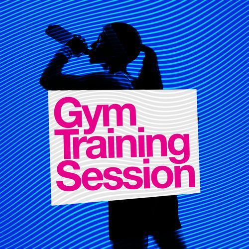 Gym Training Session