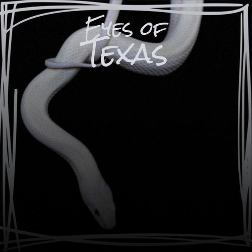 Eyes of Texas