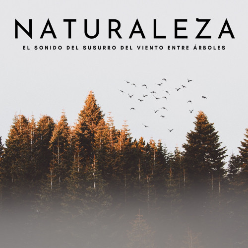 Naturaleza:  El Sonido Del Susurro Del Viento Entre Árboles