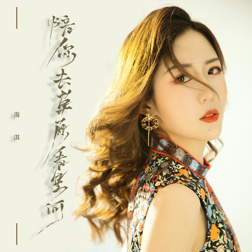 陪你去草原看星河(DJ版) - 海淇