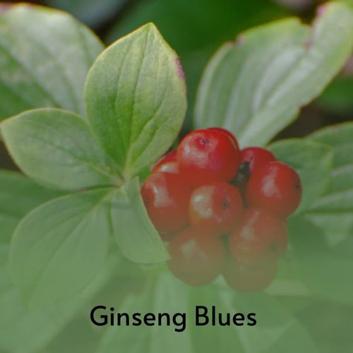 Ginseng Blues