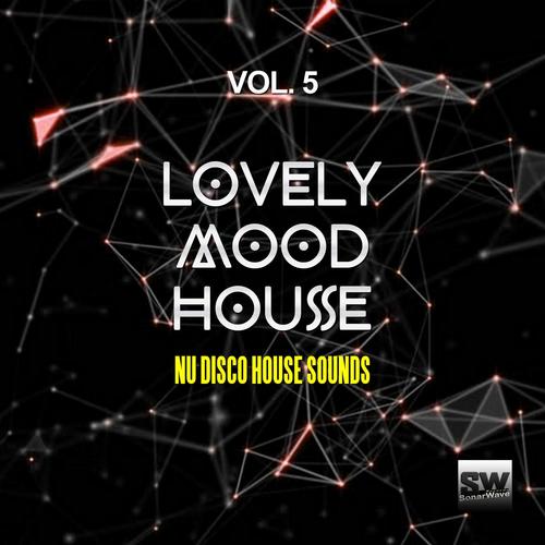 Lovely Mood House, Vol. 5 (Nu Disco House Sounds)