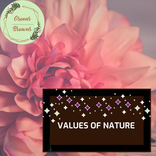 Values of Nature