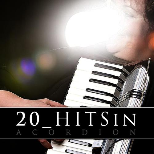 20 Hits in Acordion