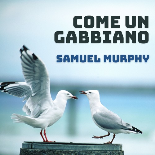 Come Un Gabbiano