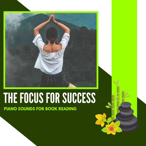 The Focus For Success - Piano Sounds For Book Reading