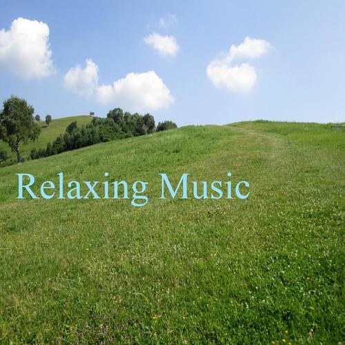 Relaxing Music, Vol. 5 (Total Relax Spa Music)