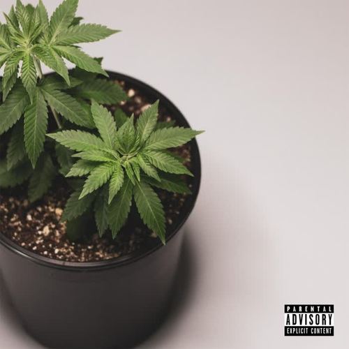 Farmers Joint (Explicit)